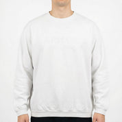 Armani Sweater (XXL)