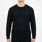 Ralph Lauren Sweater (L)