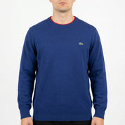Lacoste Sweater (L)