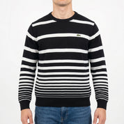 Lacoste Sweater (M)