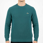 Lacoste Sweater (XL)