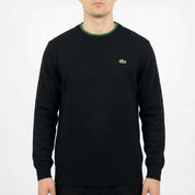 Lacoste Sweater (L)