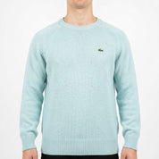 Lacoste Sweater (XS)