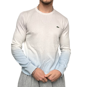 Lacoste Sweater (L)