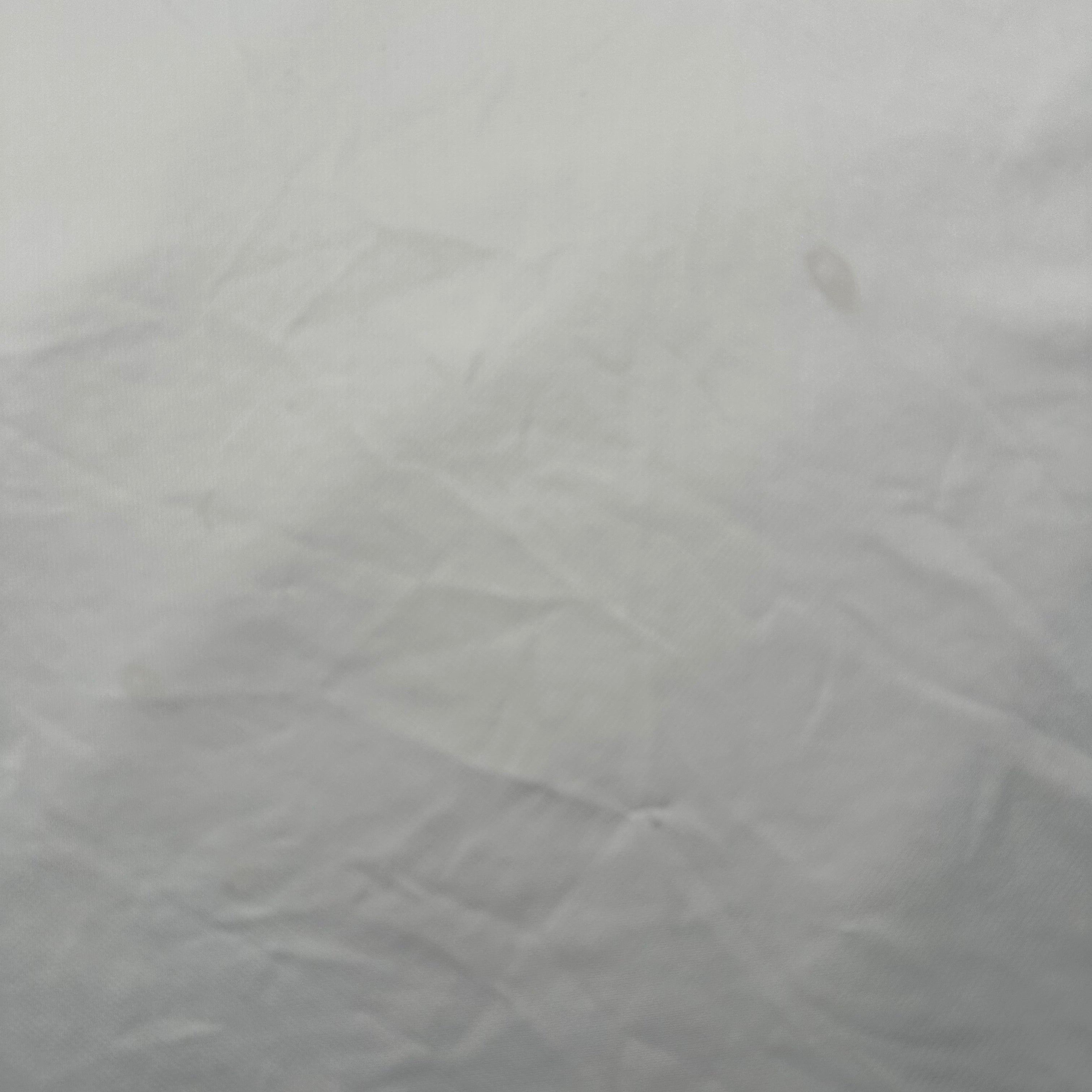 Adidas Germany Jersey (XXL)