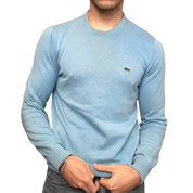 Lacoste Sweater (M)