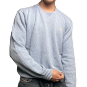 Ralph Lauren Sweater (L)